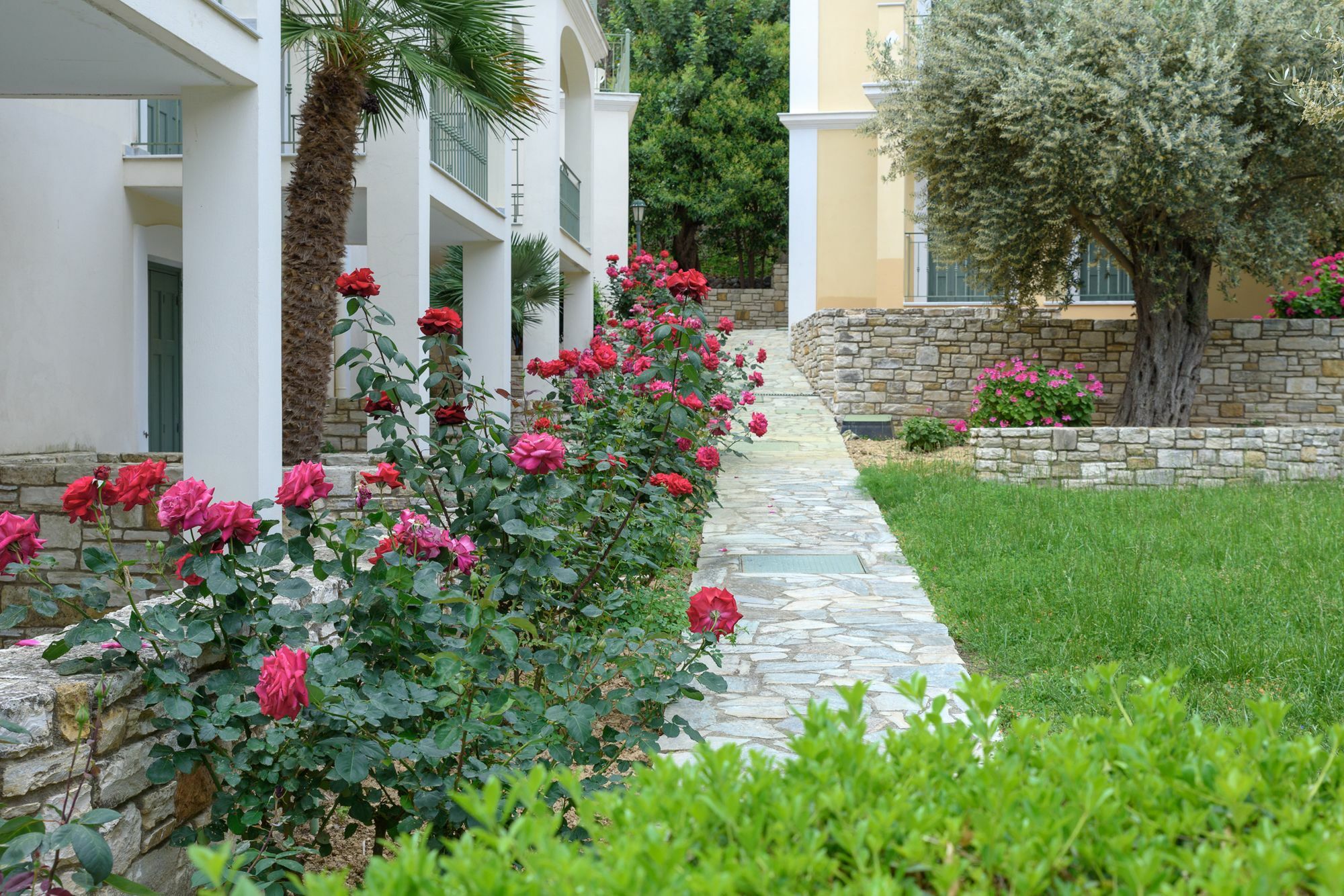 Kyveli Hotel Apartments Vrontados Exterior photo